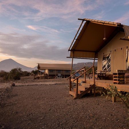 Africa Safari Lake Natron Mtowabaga Екстериор снимка