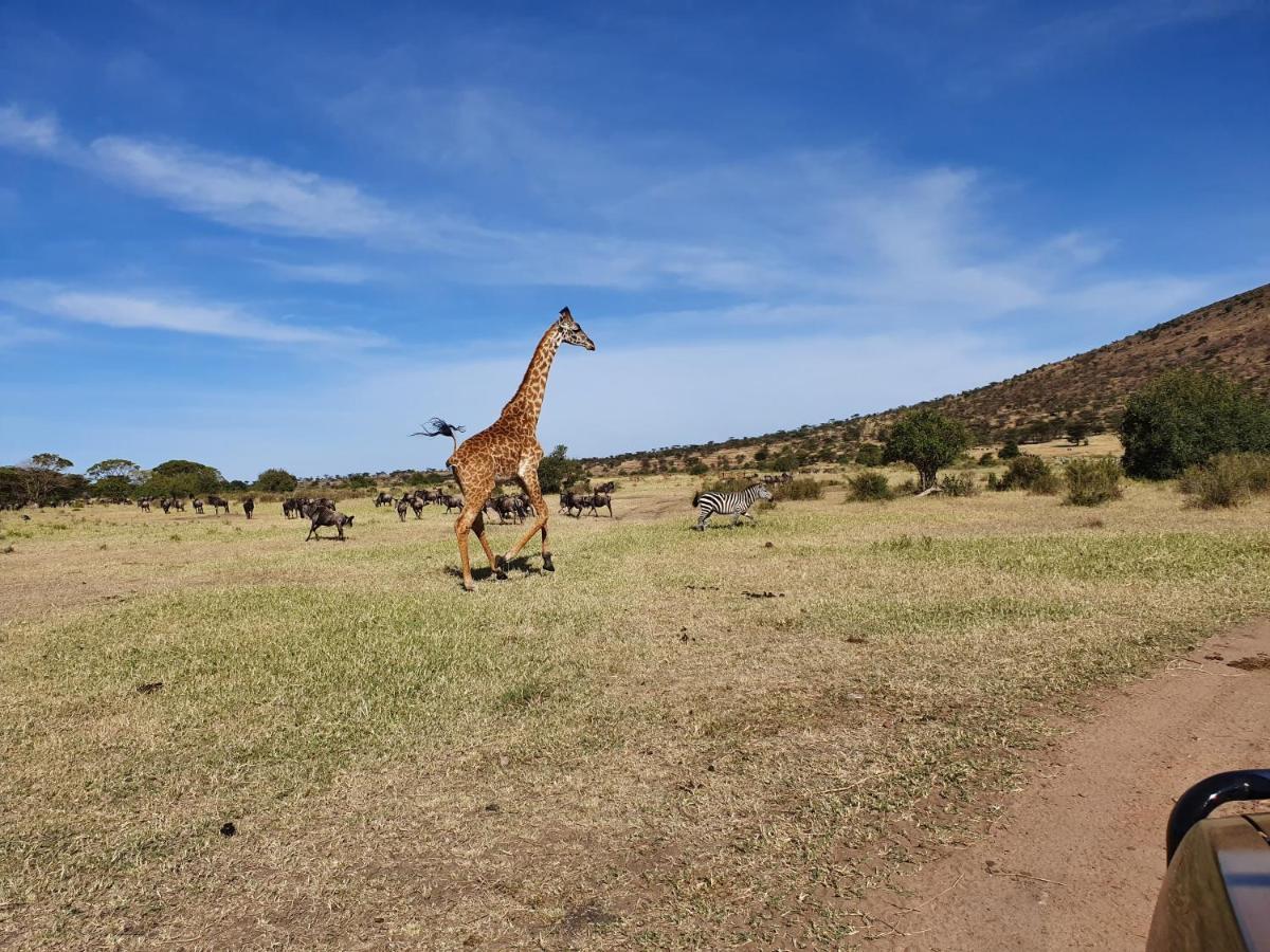 Africa Safari Lake Natron Mtowabaga Екстериор снимка