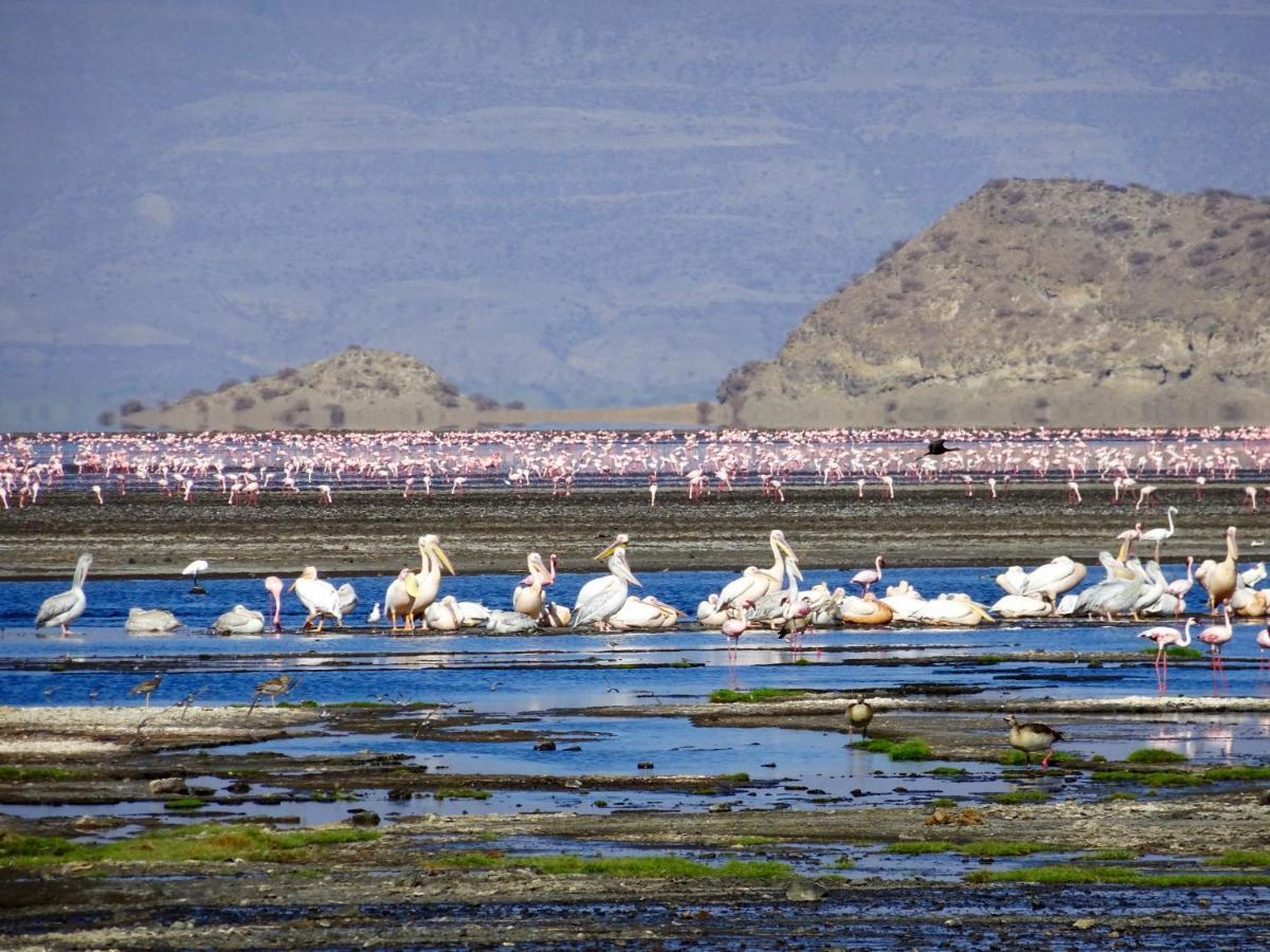 Africa Safari Lake Natron Mtowabaga Екстериор снимка